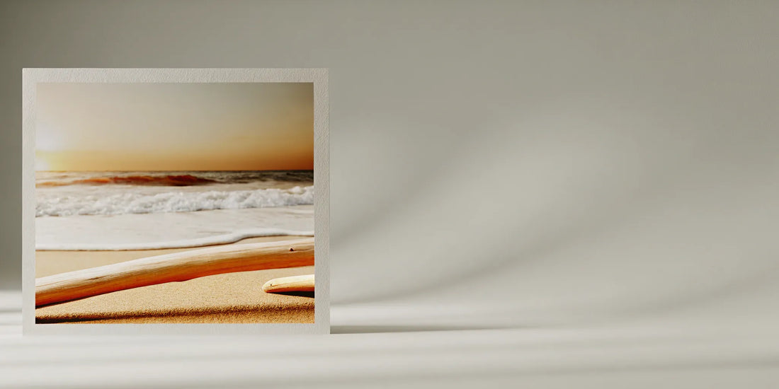 Driftwood on a beach, an affordable alternative to Jo Malone Wood Sage & Sea Salt body wash.