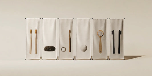 An arrangement of sustainable shower products including a soap bar, solid shampoo, and a natural loofah.