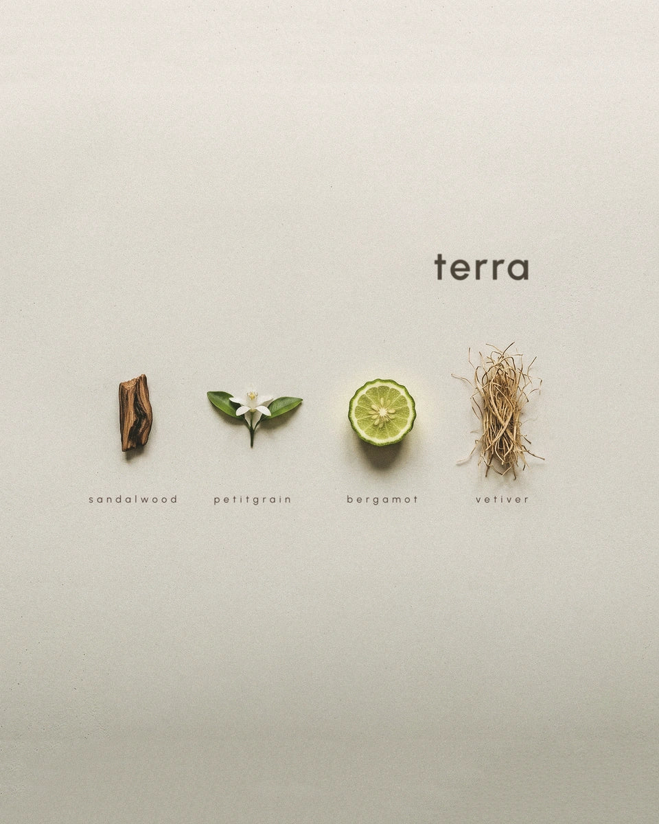 Four natural elements (sandalwood, patchouli, bergamot, vetiver) arranged on a light background with 'terra' branding.