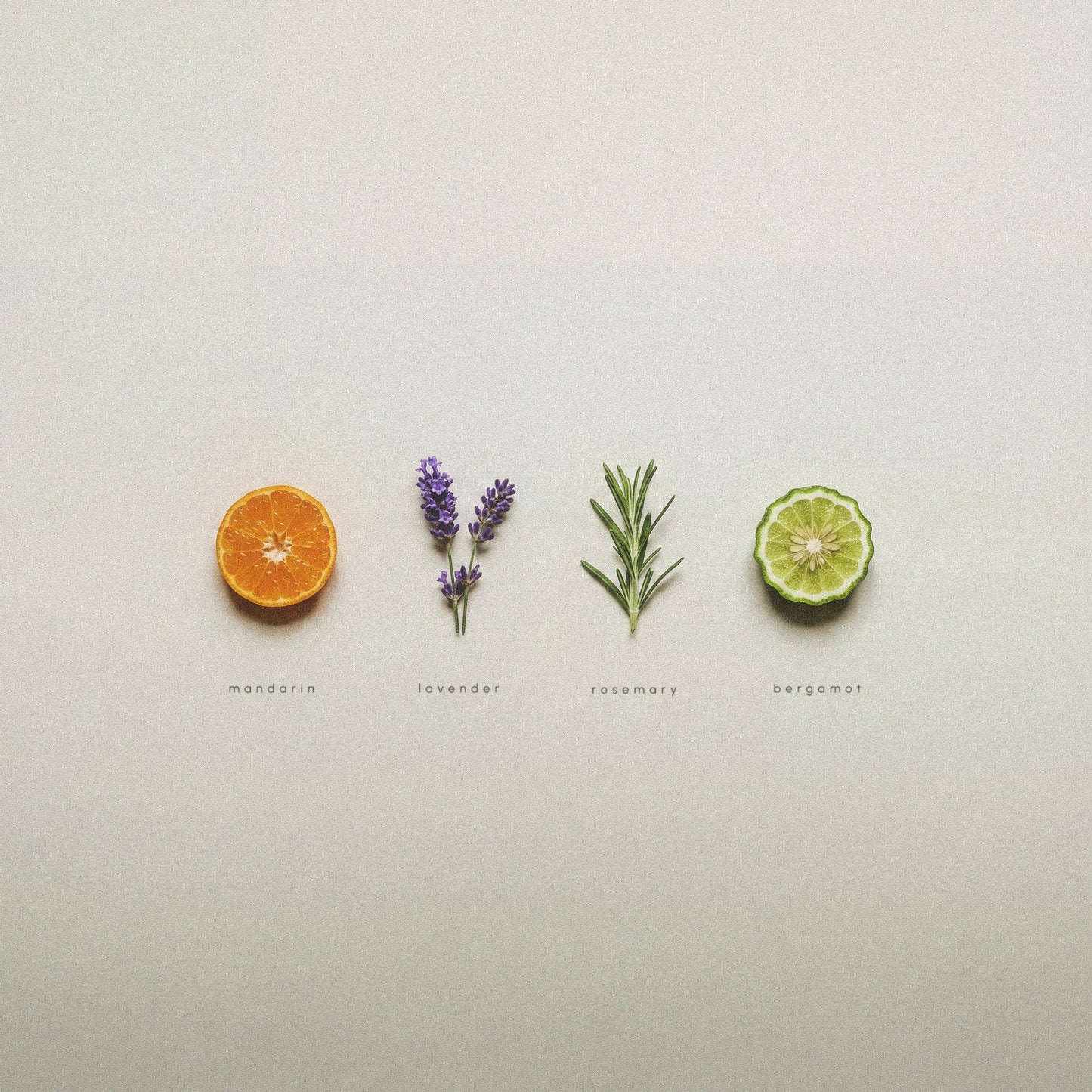 Four small fragrance notes for AEP mandarin zest hand soap arranged in a row on a light gray background: mandarin, lavender, rosemary, and bergamot. 