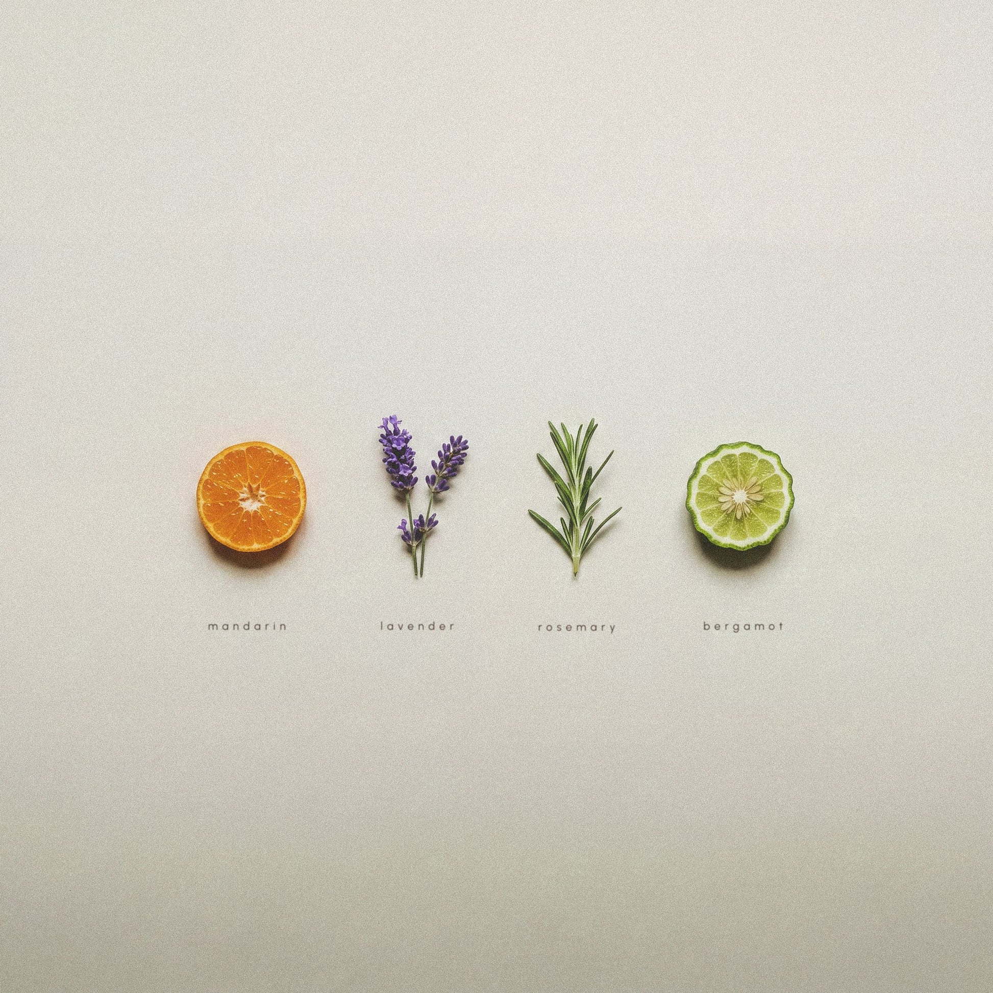 Four small fragrance notes for AEP mandarin zest hand soap arranged in a row on a light gray background: mandarin, lavender, rosemary, and bergamot. 