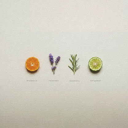 Four small fragrance notes for AEP mandarin zest hand soap arranged in a row on a light gray background: mandarin, lavender, rosemary, and bergamot. 